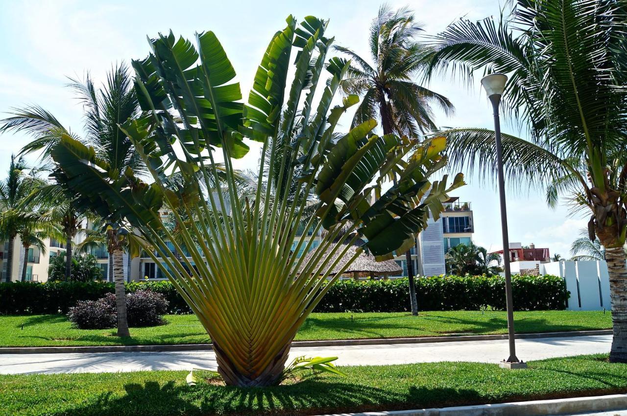 Apartament Penthouse Con Jacuzzi En Acapulco Diamante Zewnętrze zdjęcie